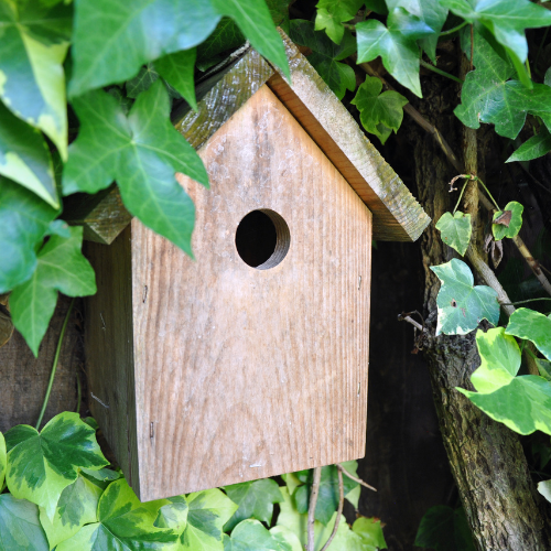 vogelhuisje ophangen zonder boren