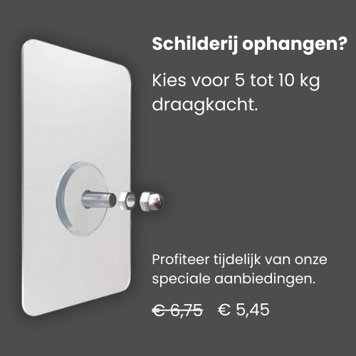 schilderij ophangsysteem tot 10 kg