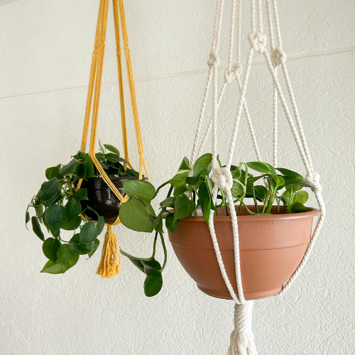 hangplant ophangen