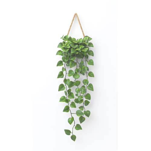 hangplanten ophangen