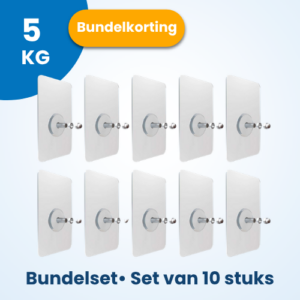plakspijkers set van 10 stuks