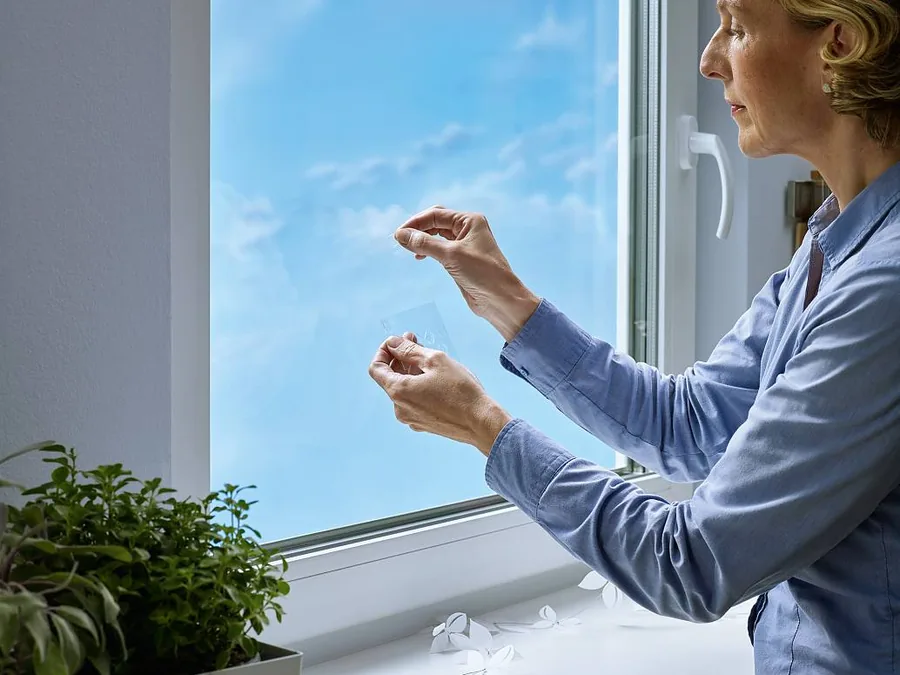 Plakspijker op glas: ophangen zonder boren op een raam