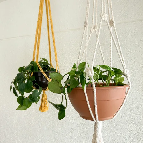 Hangplant ophangen zonder boren: planten in macramé hangers